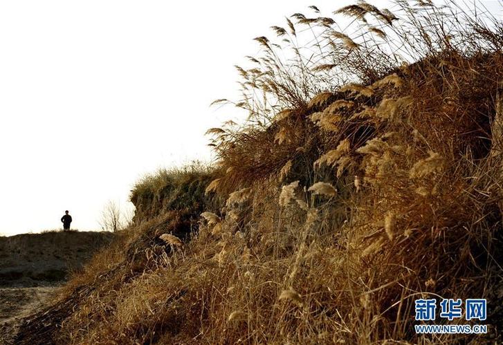 (晚报)(1)河北黄骅市具有1400多年历史的古城遗址完成勘探