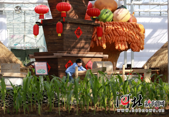 南和：“农业嘉年华”里度寒假（图）