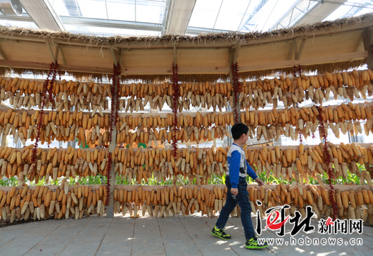 南和：“农业嘉年华”里度寒假（图）