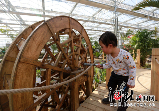 南和：“农业嘉年华”里度寒假（图）