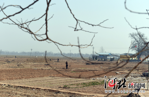 邯郸县农民春耕备播忙农时