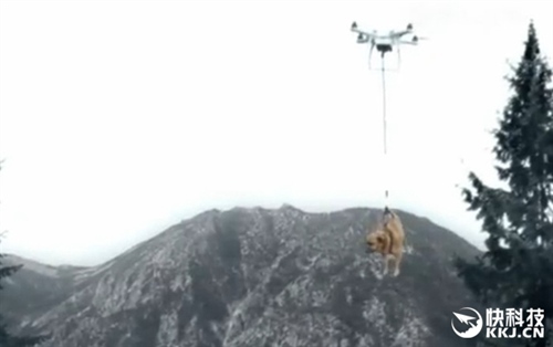 男子用无人机遛狗获赞土豪 大结局好惨：狗狗被带上天了