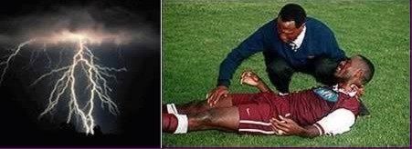 15万羚羊死亡原因曝光!各地离奇事件盘点 15万羚羊死亡原因曝光!各地离奇事件盘点