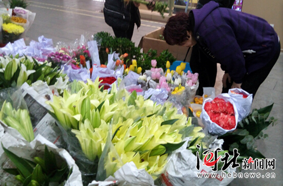 石家庄年宵花市场升温 “小而美”盆栽走俏（组图）
