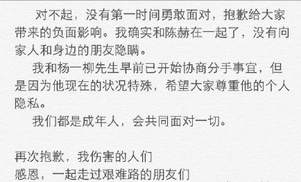 网曝张子萱怀孕 扒一扒陈赫许婧张子萱三人的过往(组图) 网曝张子萱怀孕 扒一扒陈赫许婧张子萱三人的过往(组图)