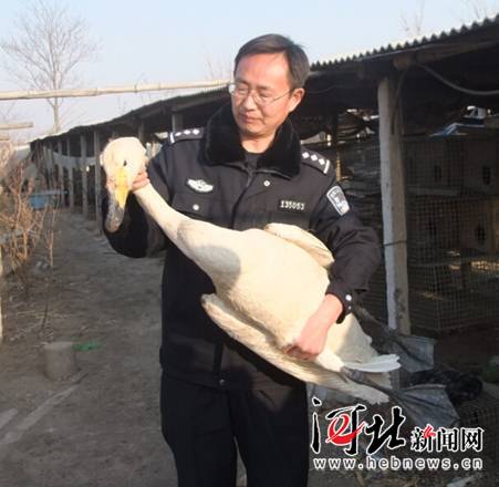 乐亭县森林公安局开展专项行动确保鸟类安全迁徙（图）
