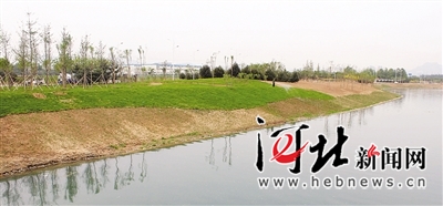 石家庄太平河岸西延绿化完成