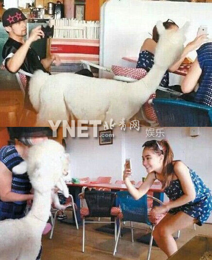 昆凌花7小时为女儿做蛋糕 揭秘周杰伦的情感秘史