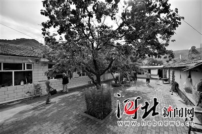 老惠的“农家乐”