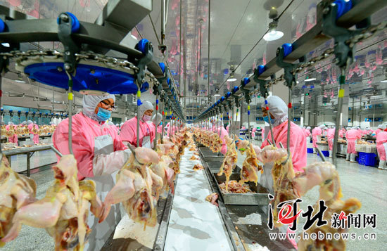 乐亭县打造三大产业园区助推县域经济提质升级
