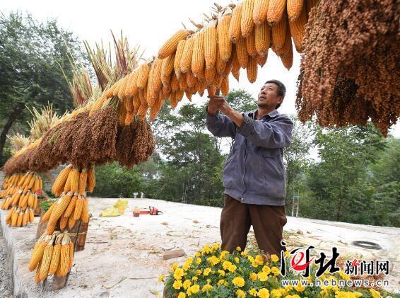  9月22日，涞水县龙门村农民在晾晒秋粮。