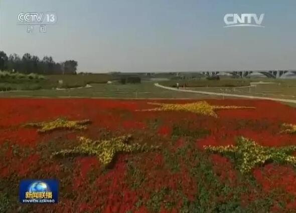石家庄滹沱河“花式”迎国庆 景象壮观登新闻联播 石家庄滹沱河“花式”迎国庆 景象壮观登新闻联播