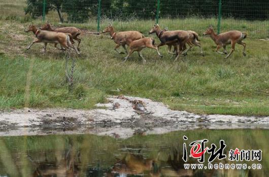 承德加强水源涵养