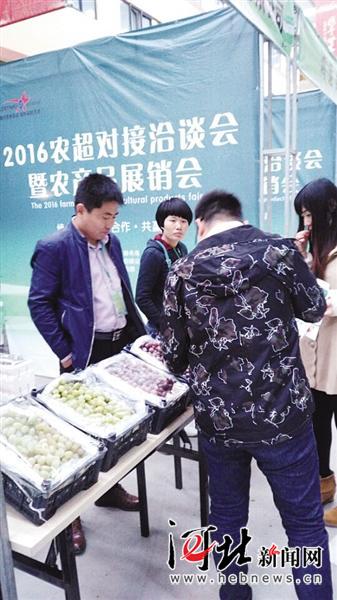 2016年石家庄市“农超对接”洽谈会暨农产品展销会