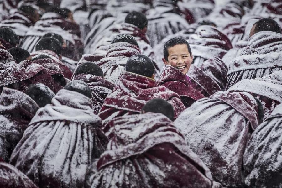 锡耶纳国际摄影奖揭晓！河北白酒酿造震撼全球