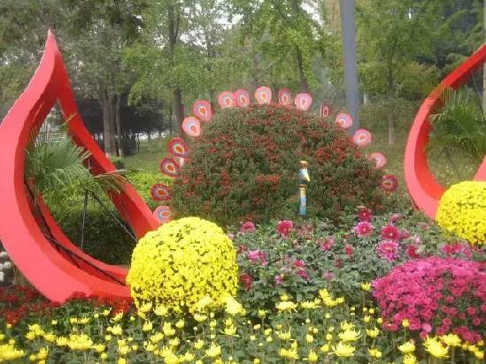 一路走来一路花开！国际庄的秋天满眼诗意步步景