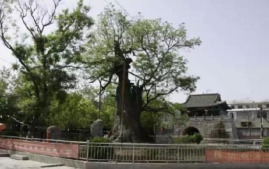 河北古村落版画展开幕 河北这些古村落你值得去看看