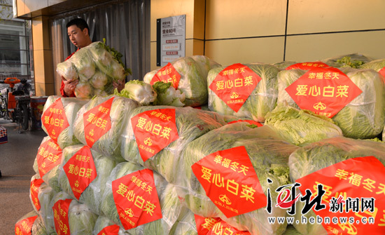 石家庄150万斤爱心大白菜，幸福暖心低保户。