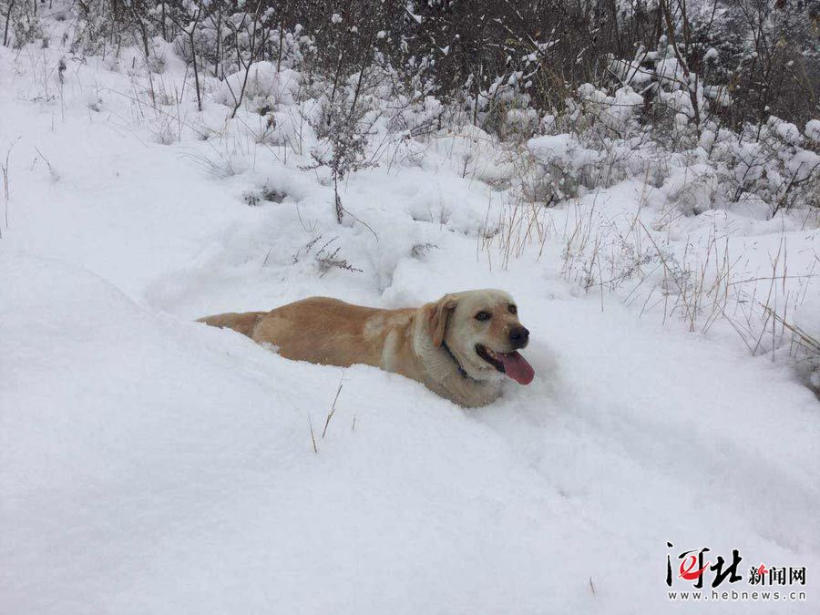 承德迎入冬首场大雪 一大波雪景图等你来赏