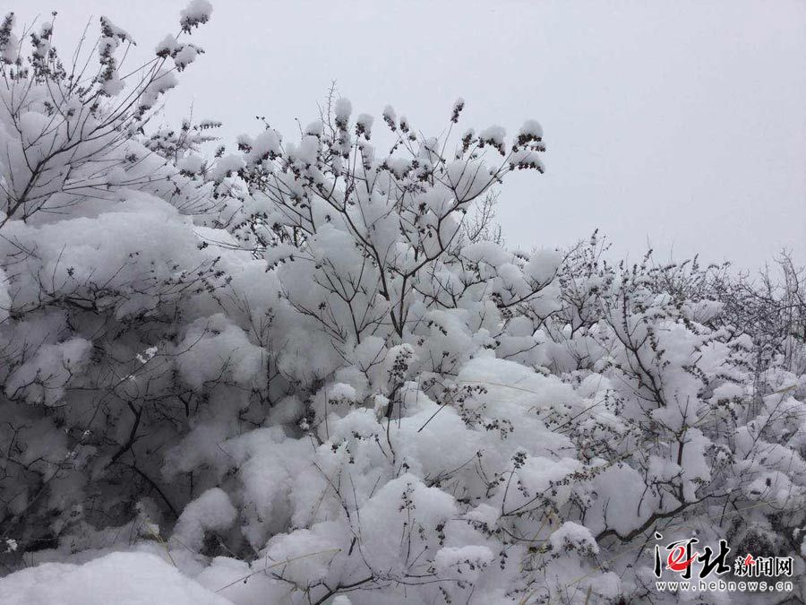承德迎入冬首场大雪 一大波雪景图等你来赏