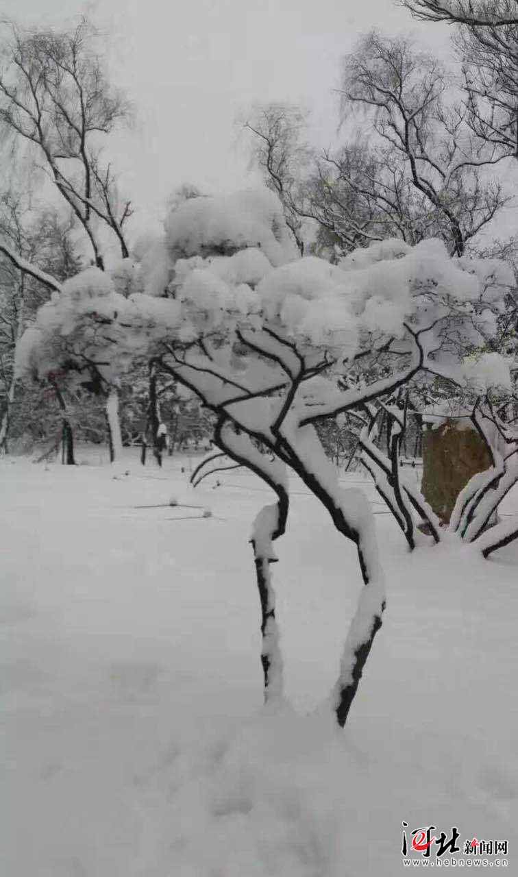 承德迎入冬首场大雪 一大波雪景图等你来赏