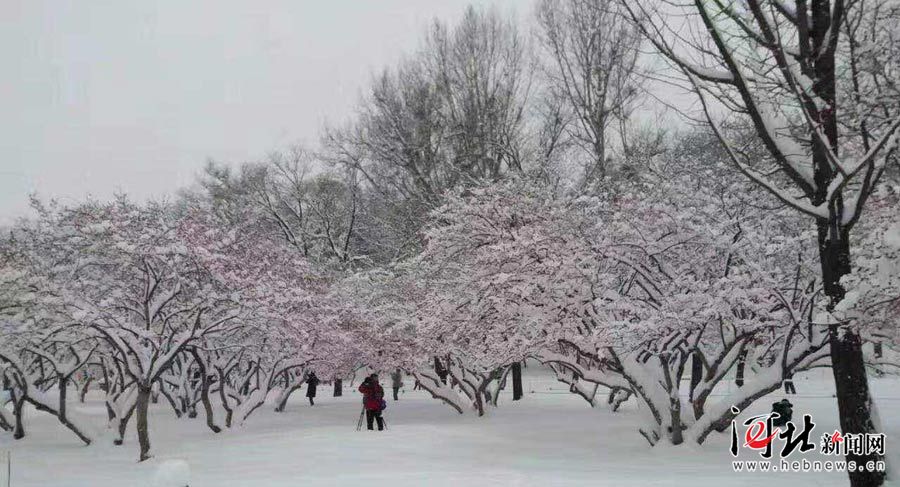承德迎入冬首场大雪 一大波雪景图等你来赏