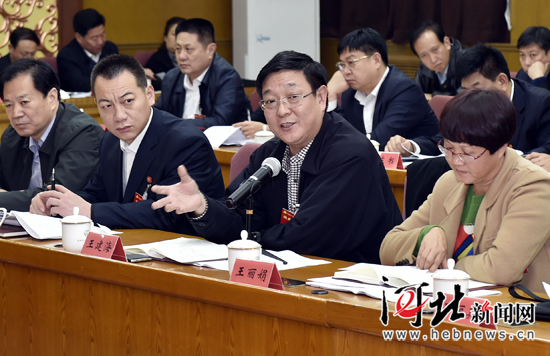 代表团听取审查党代会报告