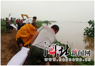 宁晋县大北苏村村民全员固堤抗洪 全村无人伤亡 宁晋县大北苏村村民全员固堤抗洪 全村无人伤亡